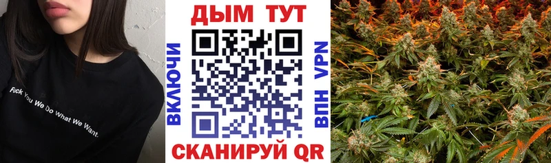 Как найти наркотики Кыштым Канабис  COCAIN  ГАШИШ  АМФЕТАМИН  Псилоцибиновые грибы  СОЛЬ  Метамфетамин  МЕФ 