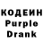 Кодеиновый сироп Lean Purple Drank Dina Koskina