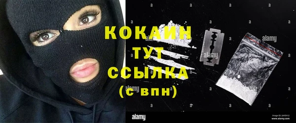 сатива Аркадак