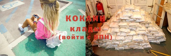 сатива Аркадак