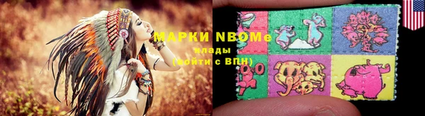 сатива Аркадак