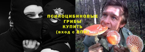 кокс Алексин